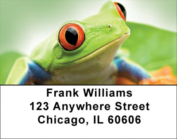Funky Tree Frogs Address Labels | LBQBC-52