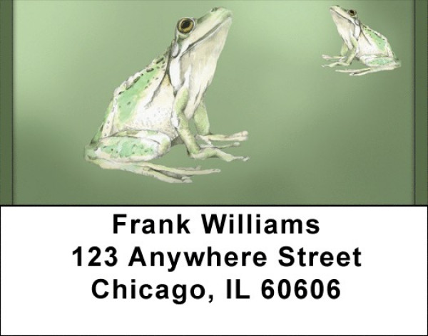 Green Frog Pencil And Watercolor Address Labels | LBQBC-53