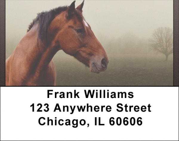Horse Portraits Address Labels | LBQBC-65