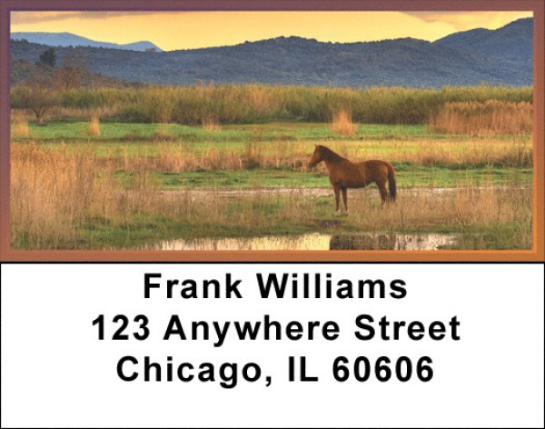 Sunset In The Foothills Address Labels | LBQBC-71
