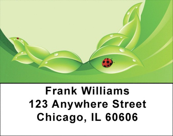 Dew Ladybugs Address Labels | LBQBC-84