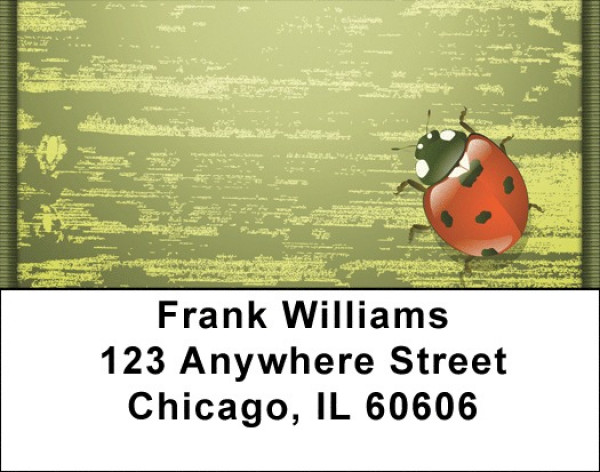 Shabby Chic With Ladybug Address Labels | LBQBC-94