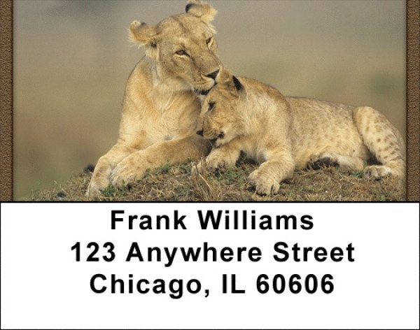 Lions Up Close Address Labels | LBQBC-99