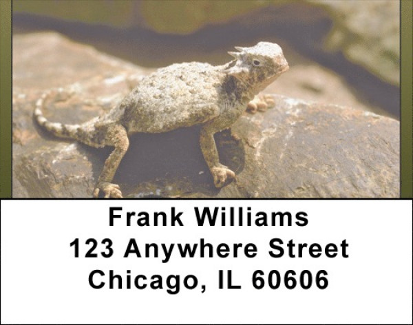 Horned Toad Address Labels | LBQBD-16
