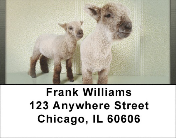 Little Lambs Address Labels | LBQBD-34