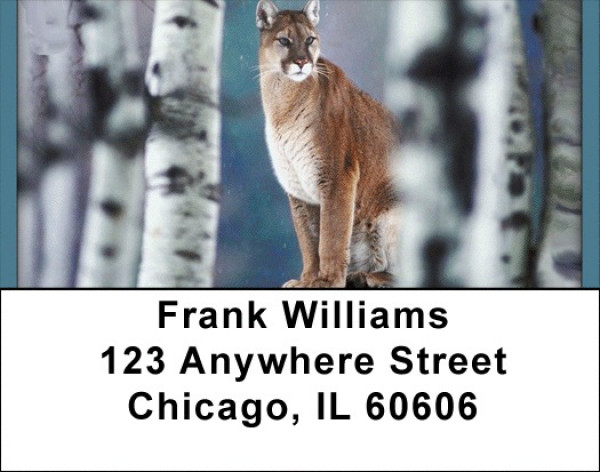 Cool Cats Address Labels | LBQBD-37