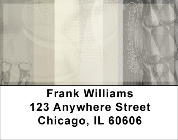 Dental Impressions Address Labels | LBQBD-61