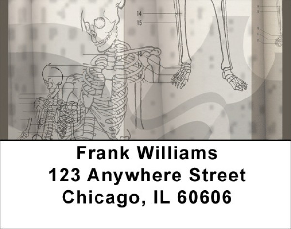 Human Skeletons Address Labels | LBQBD-89