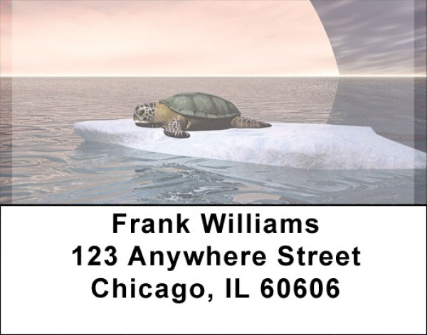 Sea Turles With Global Warming Address Labels | LBQBE-26