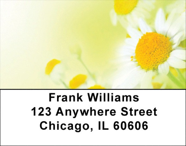 Dreamy Daisies Address Labels | LBQBG-43