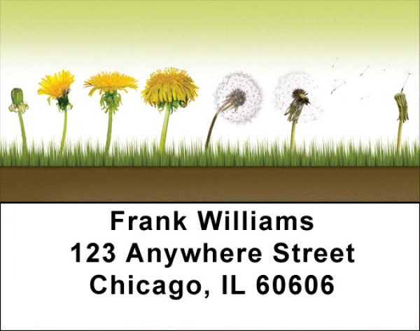 Life Cycles Address Labels | LBQBG-46
