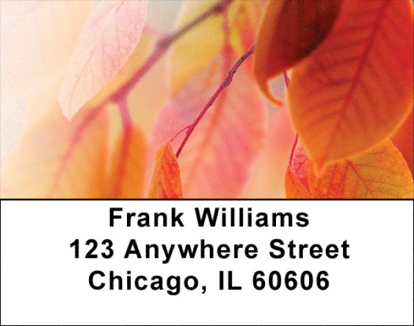 Fall colors Address Labels | LBQBG-51