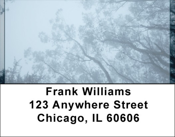 Looking Up Address Labels | LBQBI-73