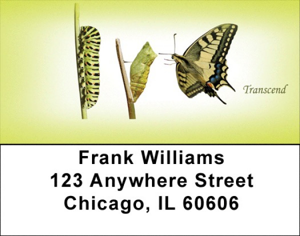 Transcend Address Labels | LBQBJ-26