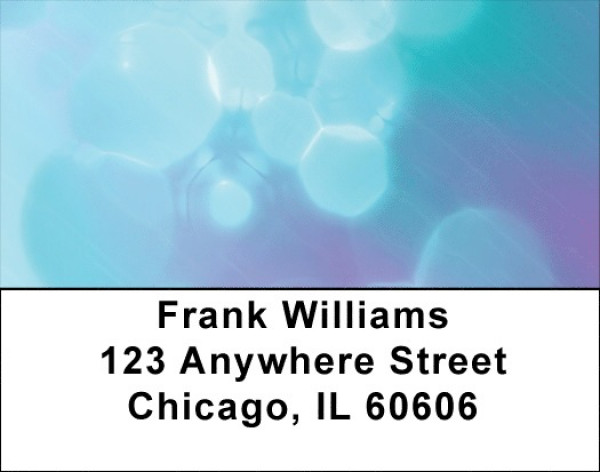 Launch Your Dreams Address Labels | LBQBM-90