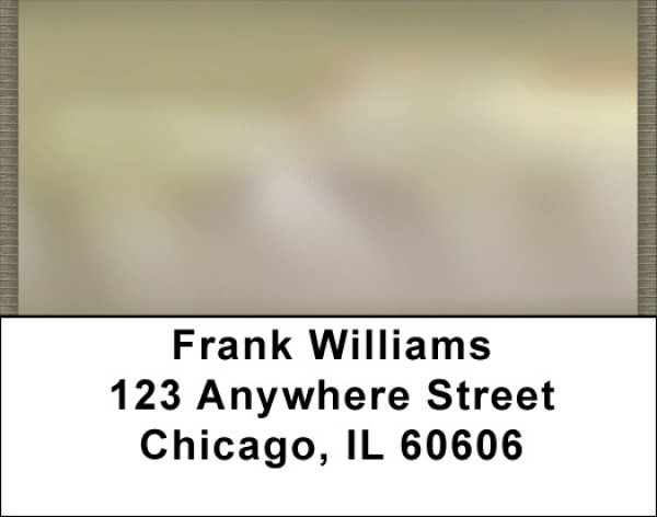 Daydreams Your Way Address Labels | LBQBN-70