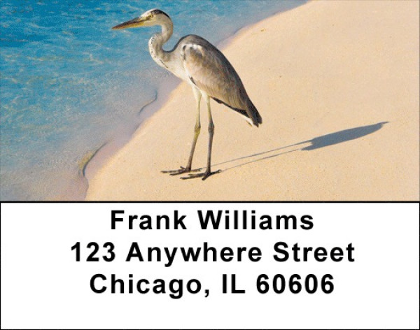 Beach Birds Address Labels | LBQBP-01