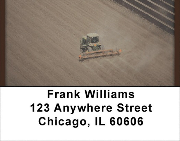 Have A Field Day Address Labels | LBQBP-22