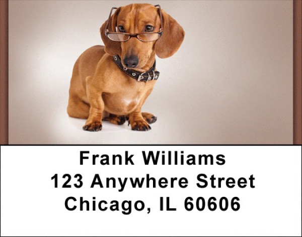 Smart Dachshunds Address Labels | LBQBQ-93