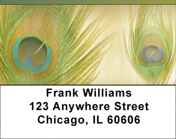 Dreamy Peacock Feathers  Address Labels | LBQBR-09