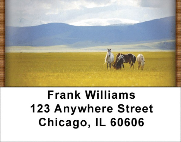 Horses On High Plains Address Labels | LBQBR-18
