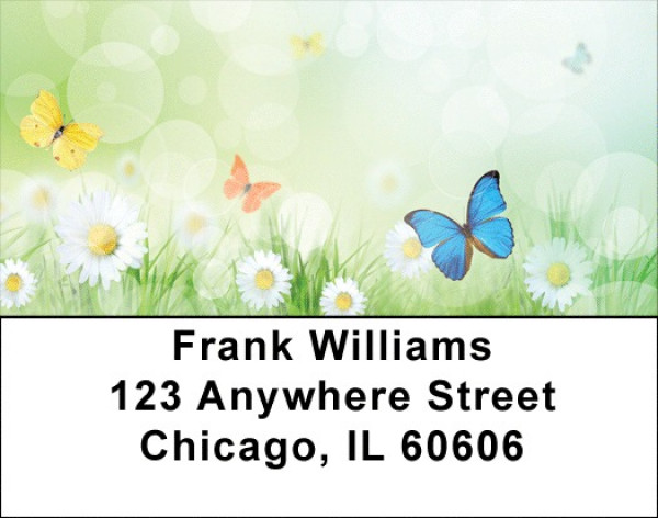 Celebrating Transformation Address Labels | LBQBS-01
