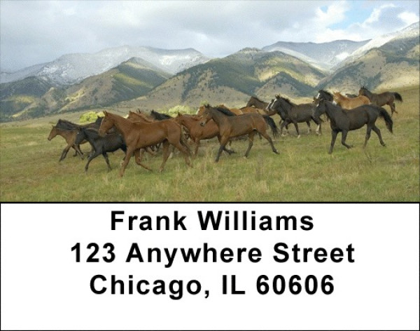 Wild And Free Address Labels | LBQBS-40