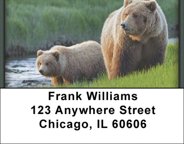 Grizzly Bears Address Labels | LBZANI-12