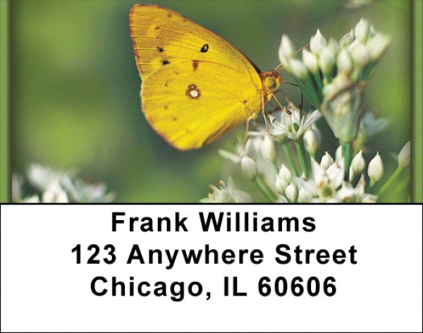 Butterflies in Nature Address Labels | LBZANI-17