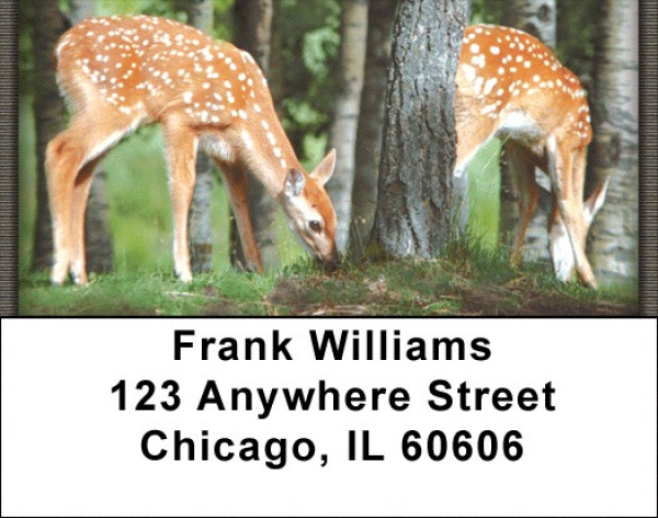 Baby Deer Address Labels | LBZANI-18
