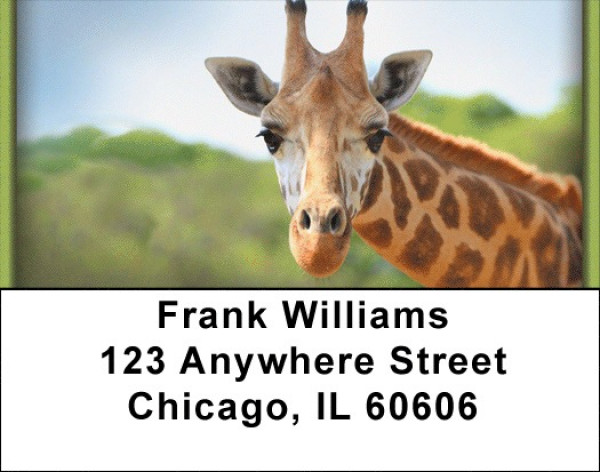Giraffes Address Labels | LBZANI-27