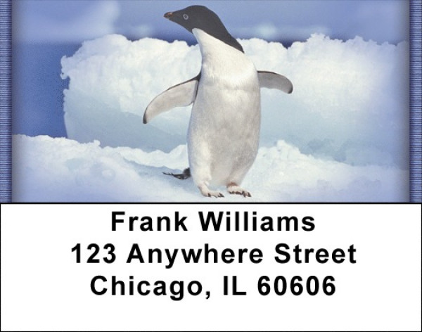 Penguins Address Labels | LBZANI-33