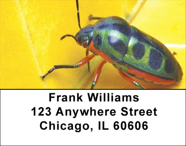 Beetles Address Labels | LBZANI-45