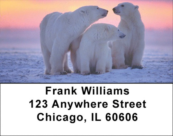 Arctic Bliss Address Labels | LBZANI-52