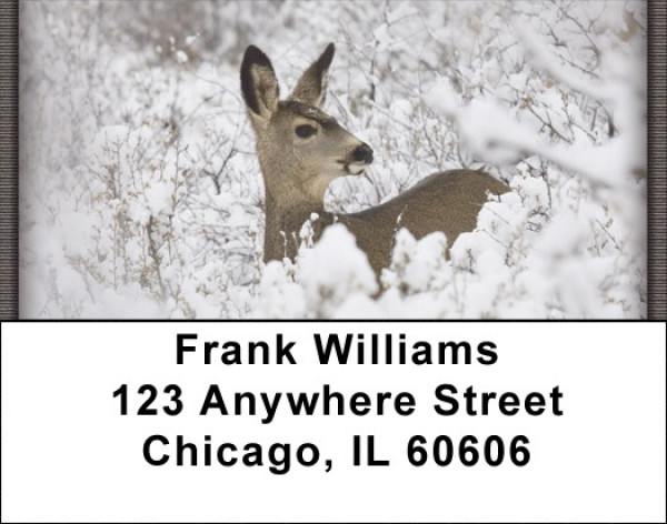 Winter Wonderland with Deer | LBZANI-61