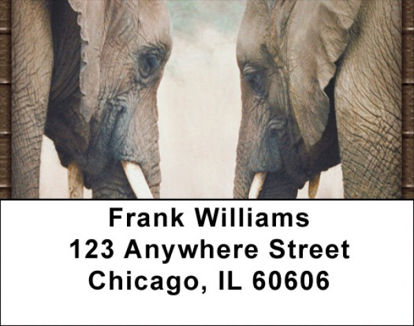 Heads Or Tails Address Labels | LBZANI-68
