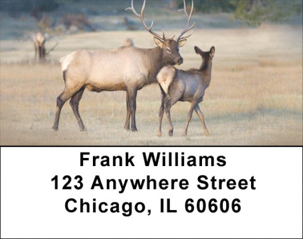Elk Racks Address Labels | LBZANI-71