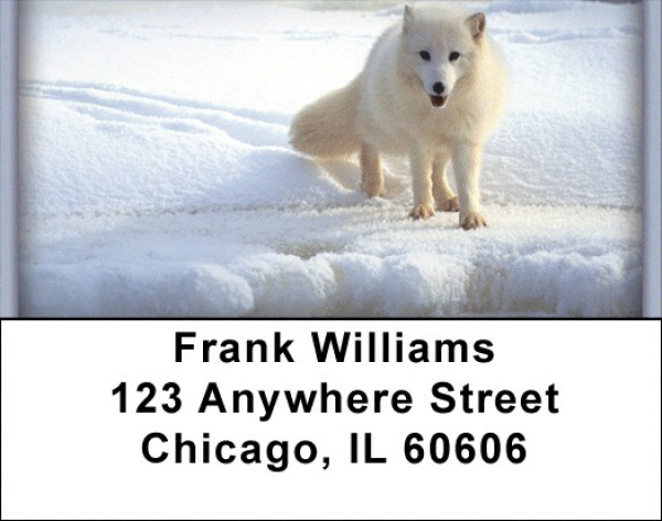 Sly as a Fox Address Labels | LBZANI-75