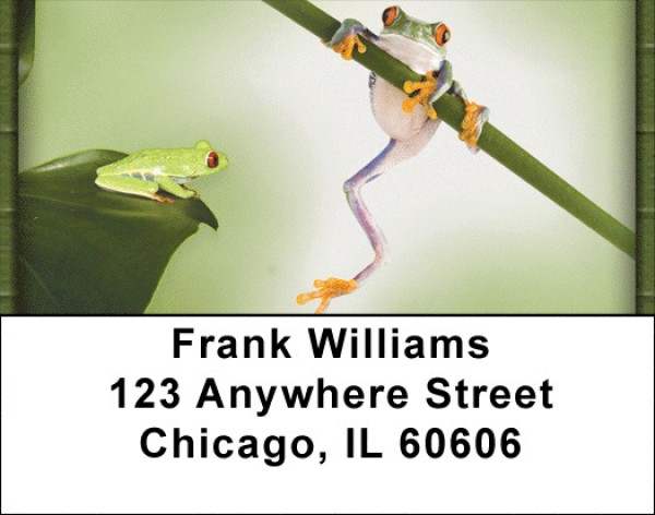 Funky Frogs Address Labels | LBZANI-76
