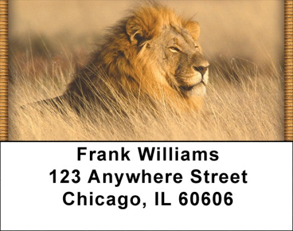 The Jungle Royals Address Labels | LBZANI-96
