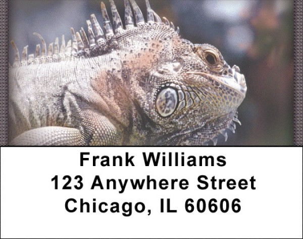 Razzle-Dazzle Reptiles Address Labels | LBZANI-97