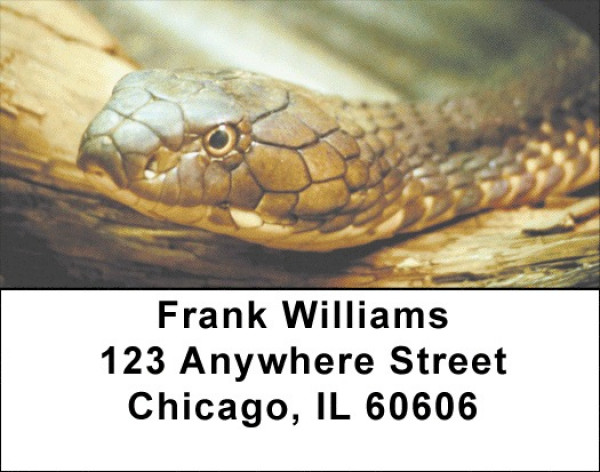Slithering Serpents Address Labels | LBZANJ-04