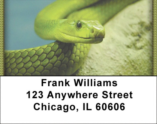 Hissy Fit Address Labels | LBZANJ-07