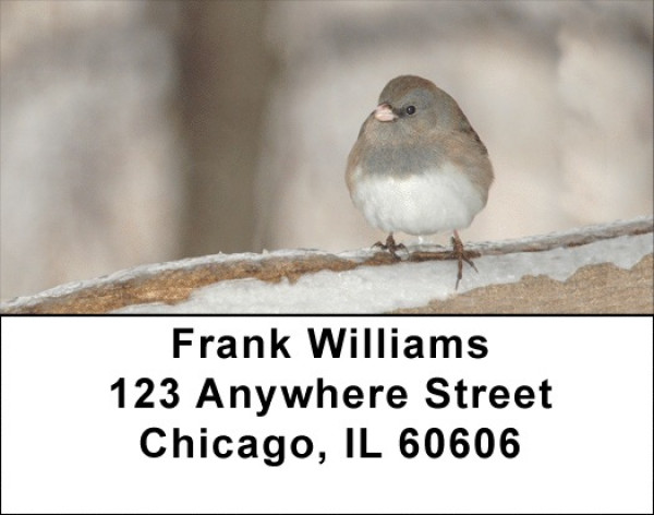Sparrow In Winter Address Labels | LBZANJ-18
