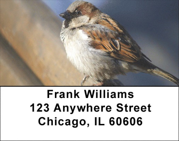 Sparrow Inspirations Address Labels | LBZANJ-19