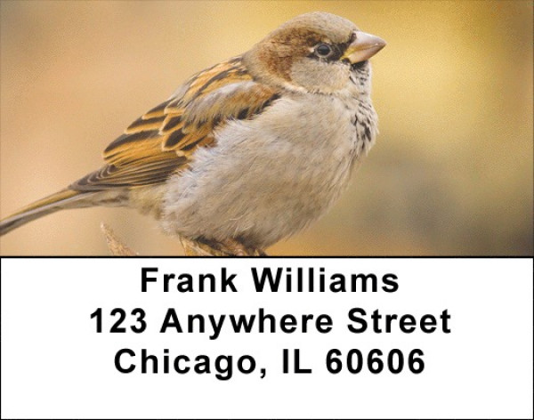 Sparrows At Daybreak Address Labels | LBZANJ-21