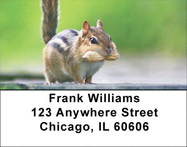 Chipmunks Everywhere Address Labels | LBZANJ-27