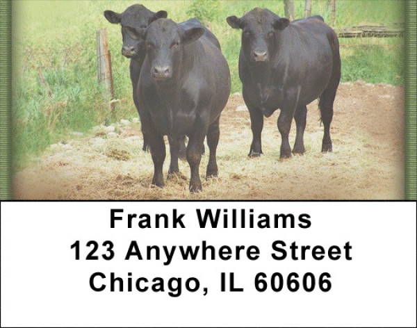 Black Angus Address Labels | LBZANJ-29