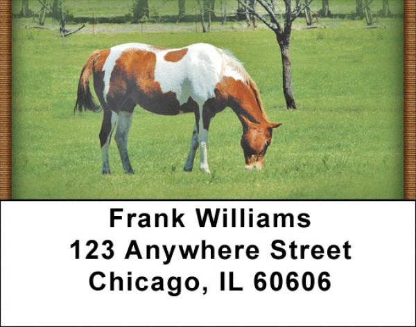 Grazing Green Pastures Address Labels | LBZANJ-36