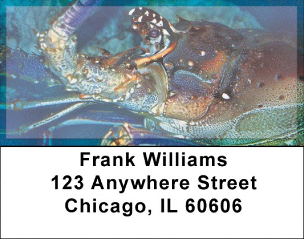 Lobsters In Ocean Bottom Address Labels | LBZANJ-40